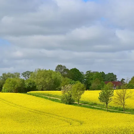 Im Gutshaus Schulenbrook